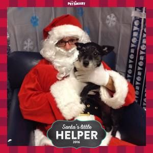 Meet your Posher, Jeanie